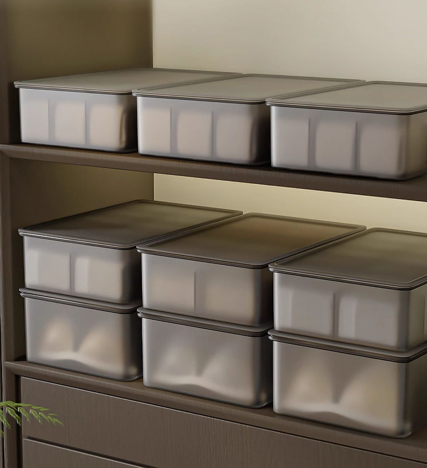 MIVLINA® Clear Divided Socks & Underwear Organzier Box Z157